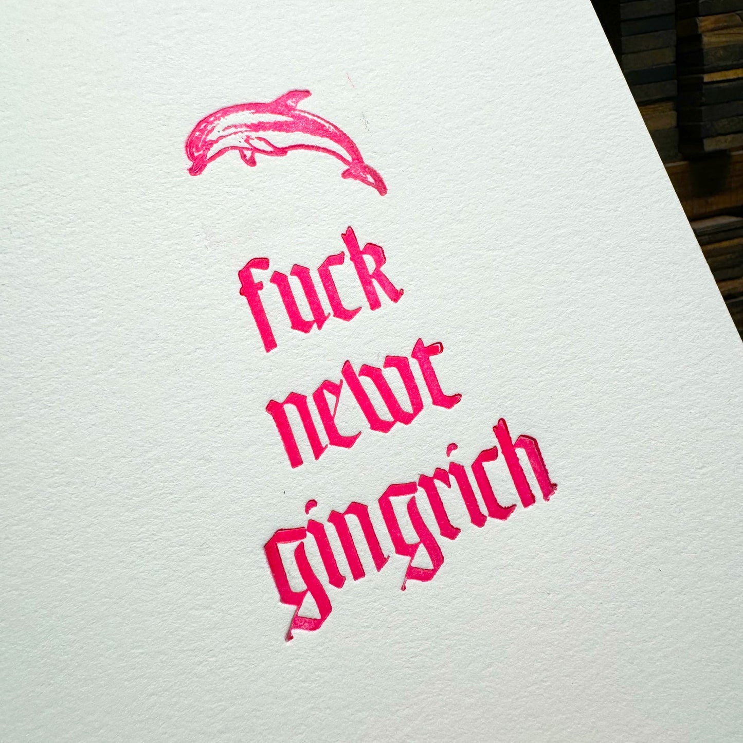 F*ck Newt Gingrich - Dolphin Edition